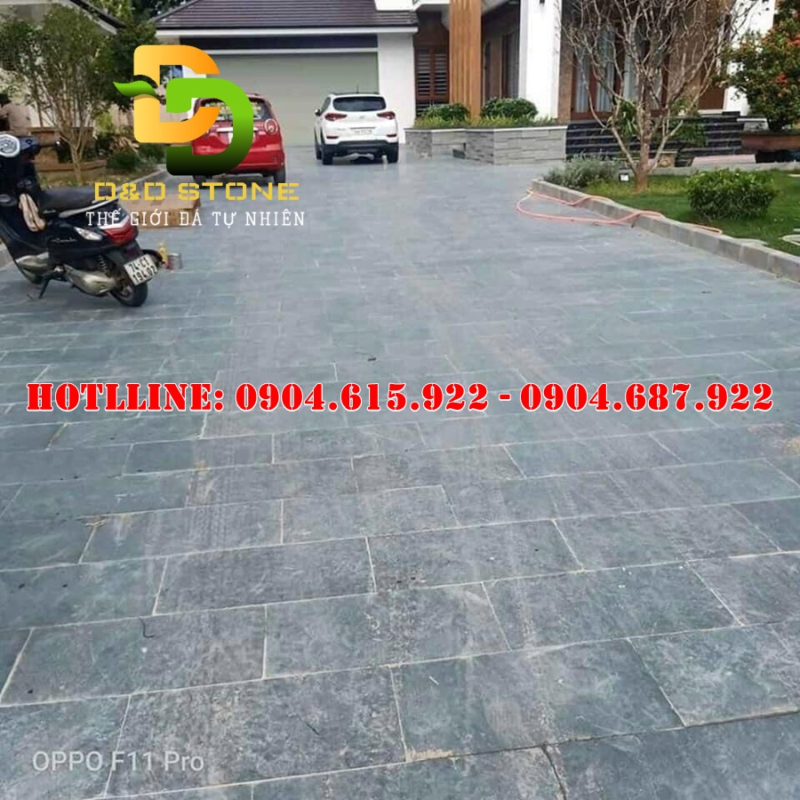 da-xanh-reu-bam-mat-lat-nen