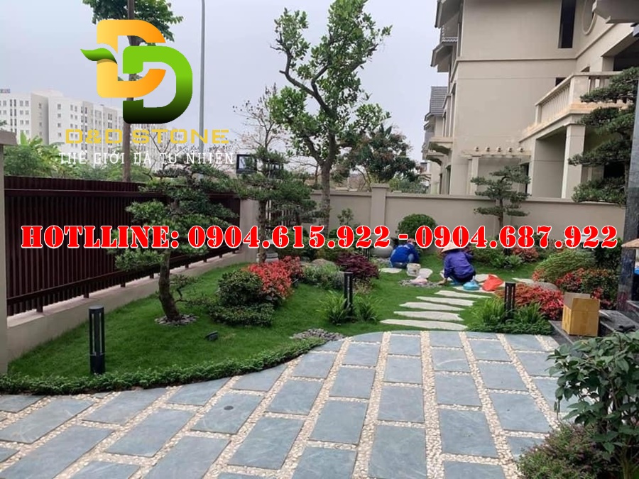 da-xanh-reu-bam-mat-lat-nen