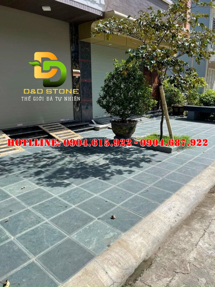 da-xanh-reu-bam-mat-lat-nen