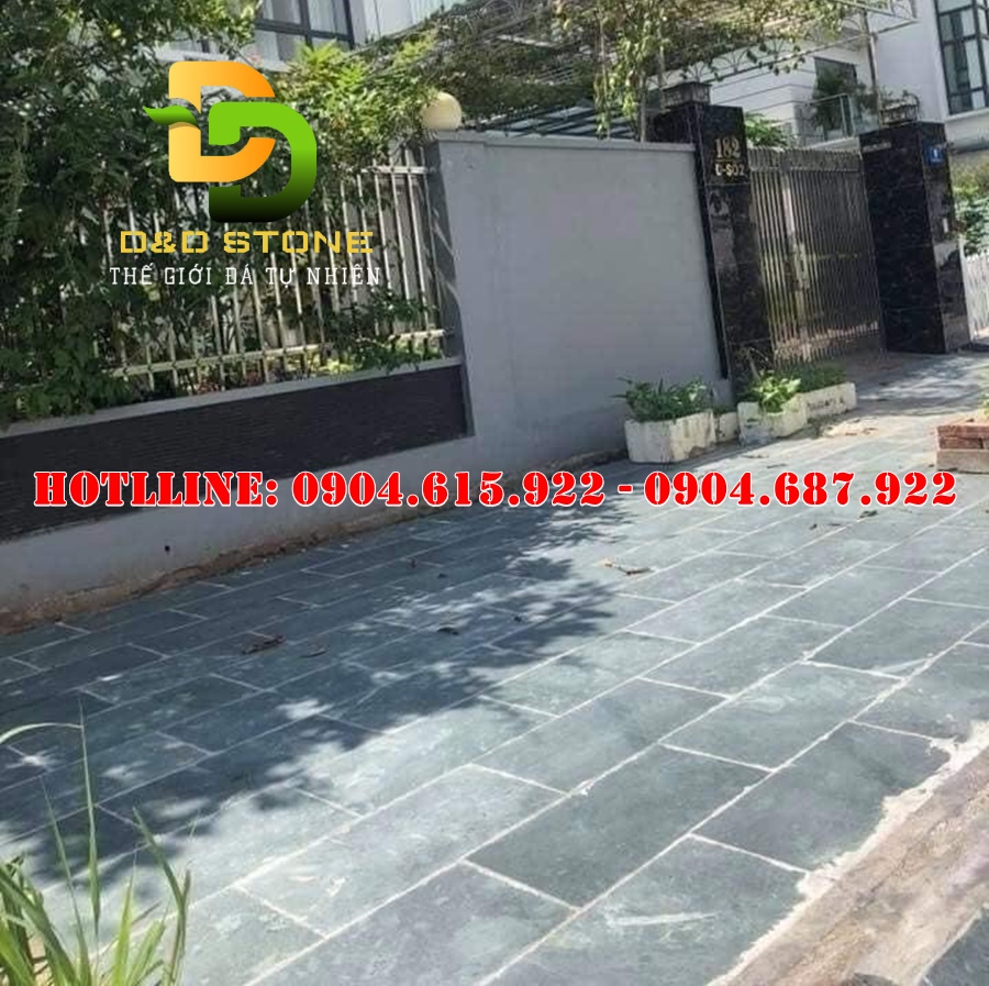 da-xanh-reu-bam-mat-lat-nen