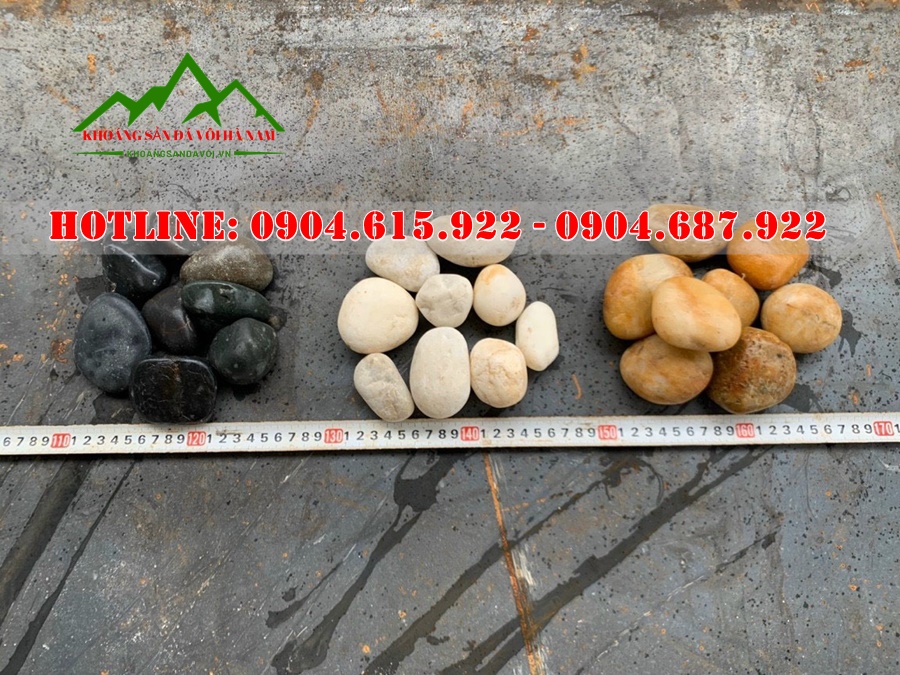 soi-trang-tri-san-vuon