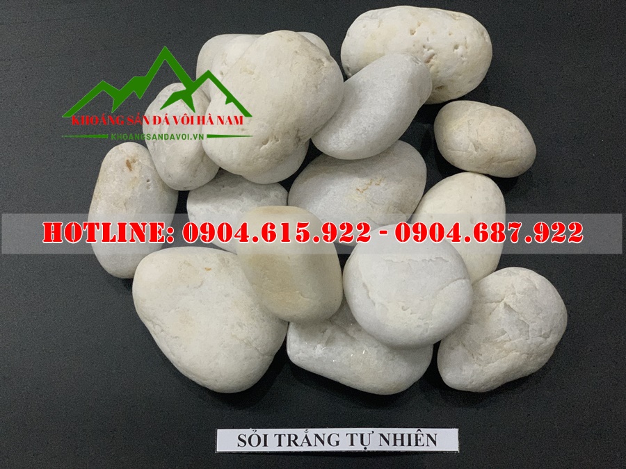 soi-trang-tri-san-vuon