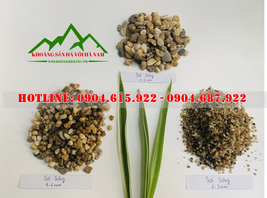 soi-trang-tri-san-vuon