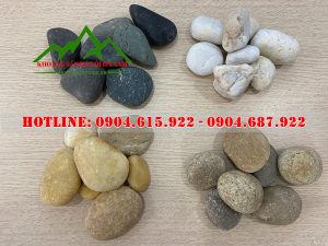 soi-trang-tri-san-vuon