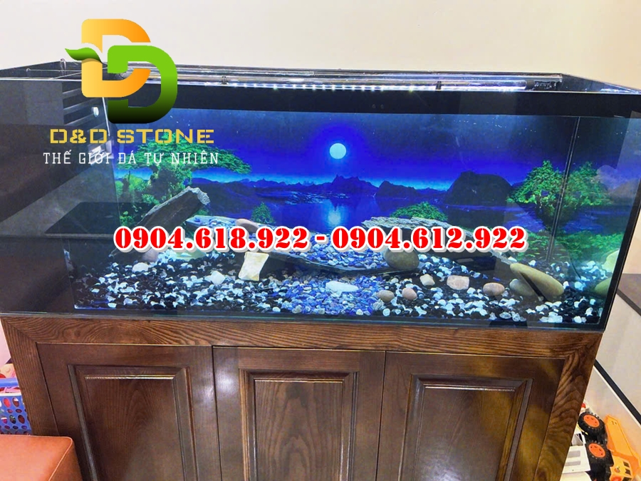 soi-trang-tri-be-ca-tai-ha-noi (2)