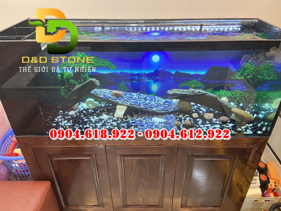 soi-trang-tri-be-ca-tai-ha-noi (3)