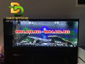 soi-trang-tri-be-ca-tai-ha-noi (1)