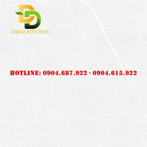 Gạch ốp lát thạch bàn 60x60 DD0231