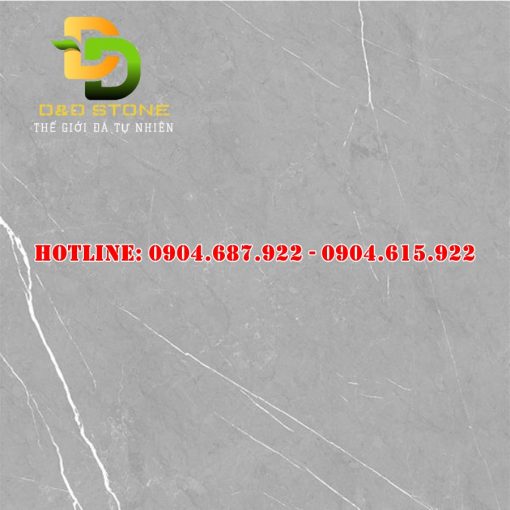 Gạch ốp lát thạch bàn 60x60 DD0232