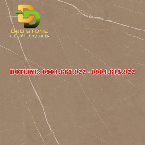 Gạch ốp lát thạch bàn 60x60 DD0235
