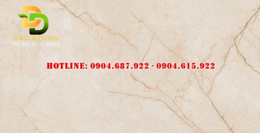 Mẫu gạch lát nền prime 60x120 DD08309