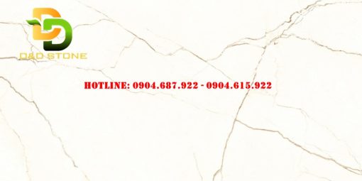 Gạch lát nền Prime 60x120 DD20800