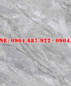 Mẫu gạch lát nền prime 60x120 DD20803