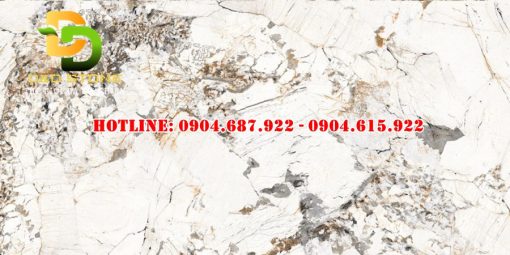 Gạch lát nền prime 60x120 DD27301