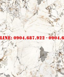 Bán gạch lát nền prime 60x120 DD27301