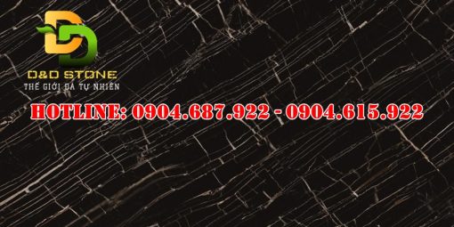 Gạch lát nền prime 60x120 DD27309