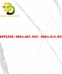 Mẫu gạch lát nền prime 40x40 DD08001