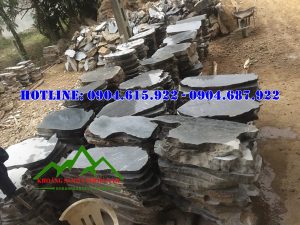 da-buoc-dao-san-vuon