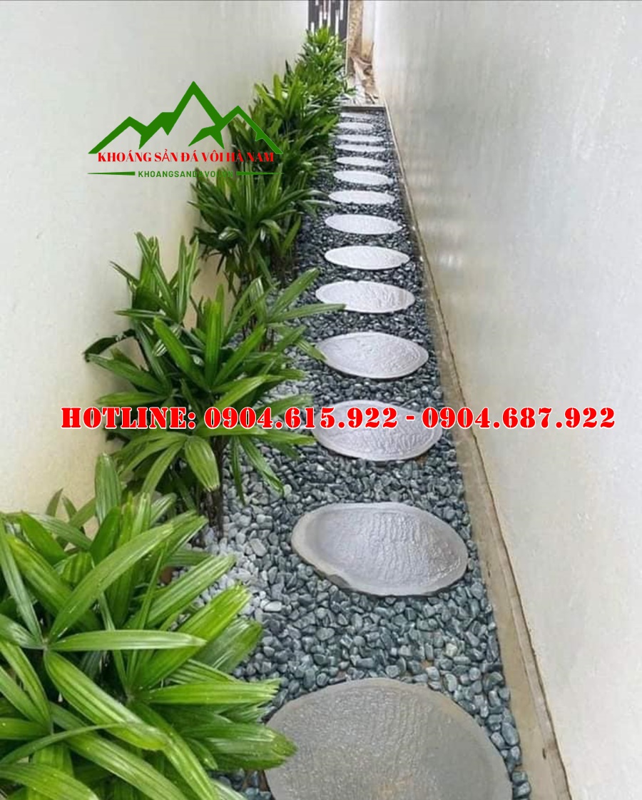 da-buoc-dao-san-vuon