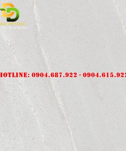 Gạch ốp lát thạch bàn 60x60 DD8304