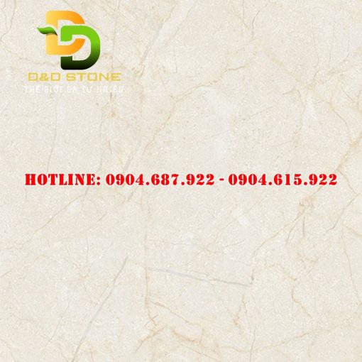 Gạch ốp lát thạch bàn 60x60 DD1501.0
