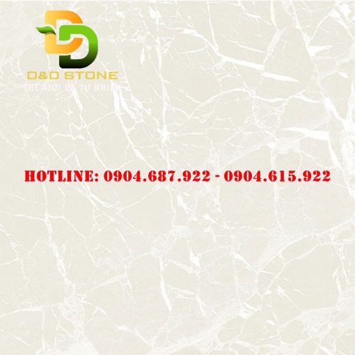 Gạch ốp lát thạch bàn 60x60 DD1502.0