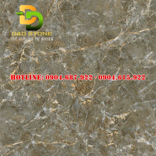 Gạch ốp lát Prime 60x60 DD1504