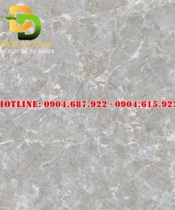 Gạch ốp lát prime 60x60 DD1505