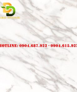 Gạch ốp lát thạch bàn 60x60 DD2005