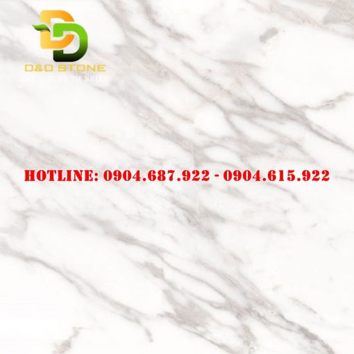 Gạch ốp lát thạch bàn 60x60 DD2005