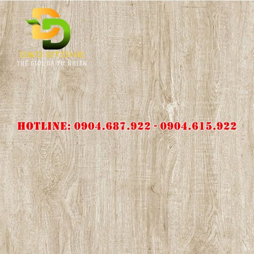 Gạch ốp lát thạch bàn 60x60 DD0038