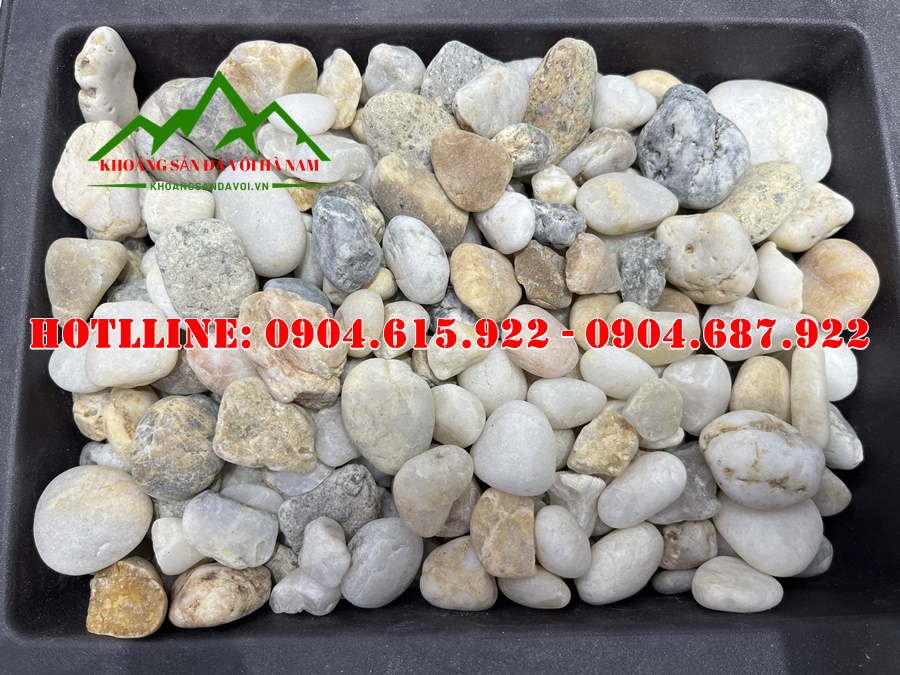 soi-bien-ngu-sac-tu-nhien