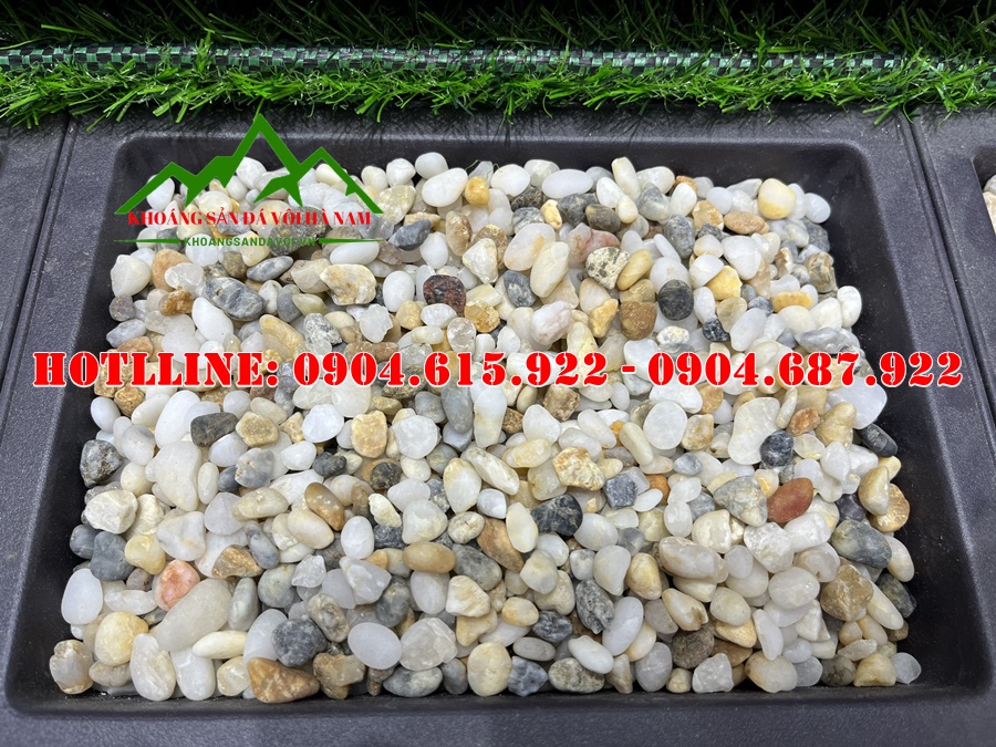 soi-bien-ngu-sac-tu-nhien