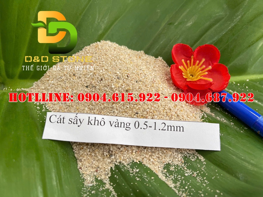 Cat-mau-vàng-kim-sa