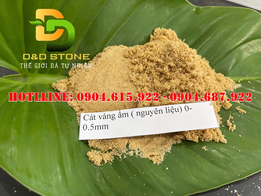 Cat-mau-vàng-kim-sa