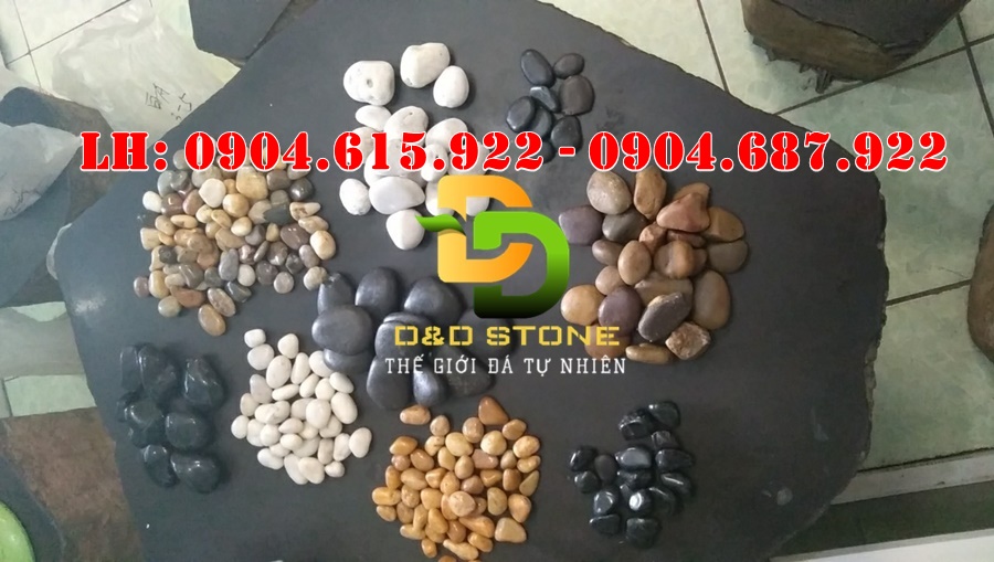 soi-trang-tri-san-vuon