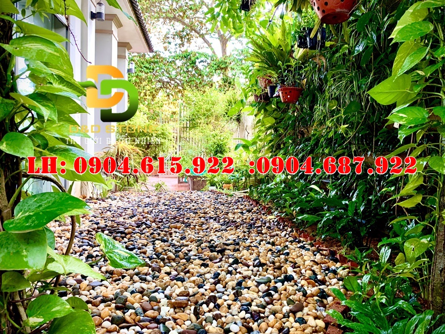 huong-dan-rai-soi-trang-tri-san-vuon