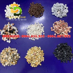 soi-trang-tri-nha-vuon