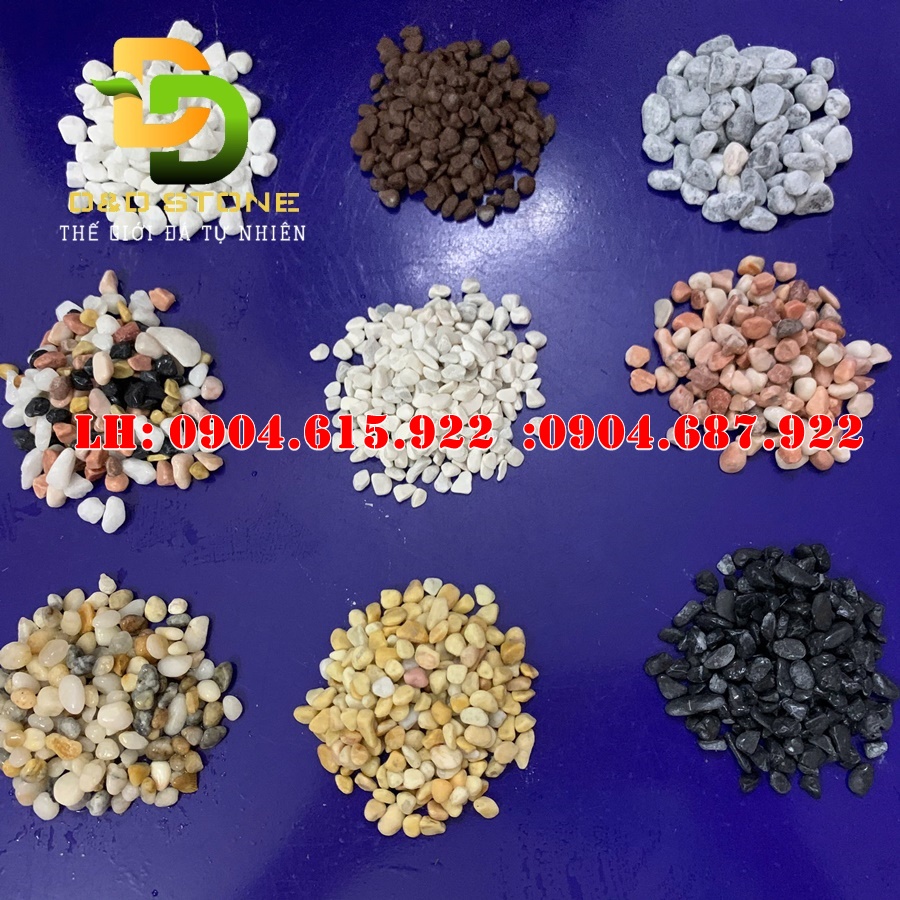 thiet-ke-trang-tri-soi-san-vuon