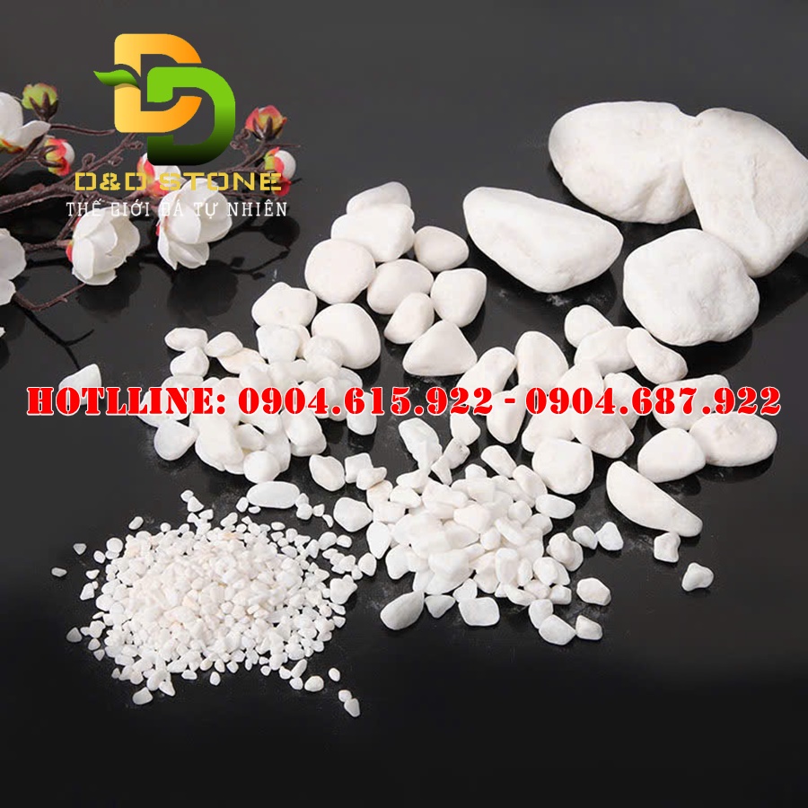 soi-trang-tri-nha-vuon