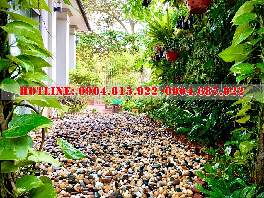 soi-tu-nhien-trang-tri-san-vuon