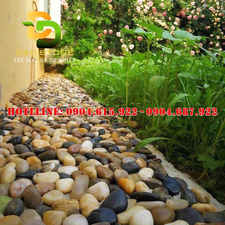 soi-tu-nhien-trang-tri-san-vuon