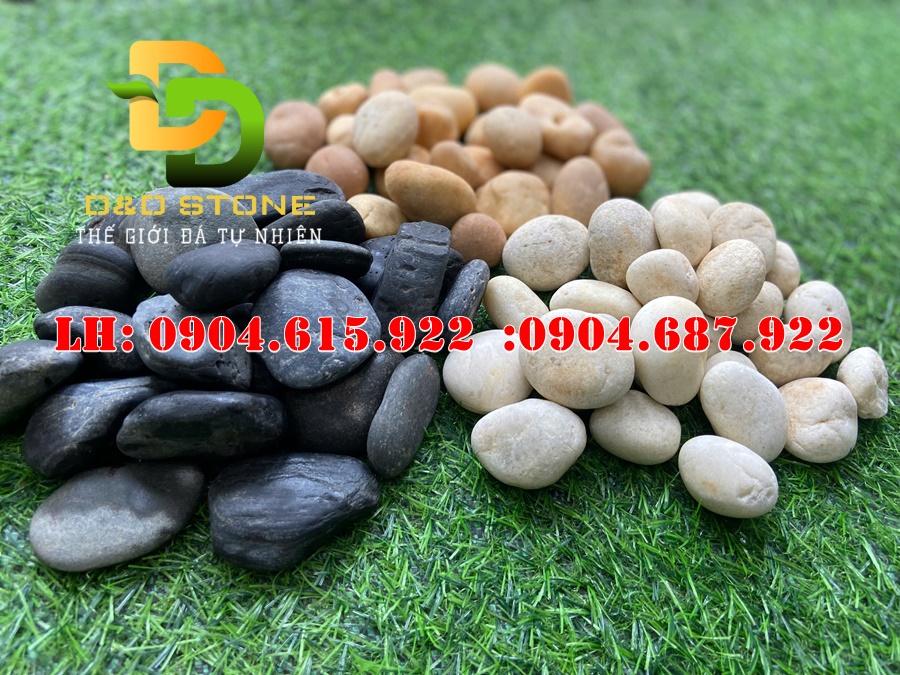 soi-tu-nhien-trang-tri-san-vuon