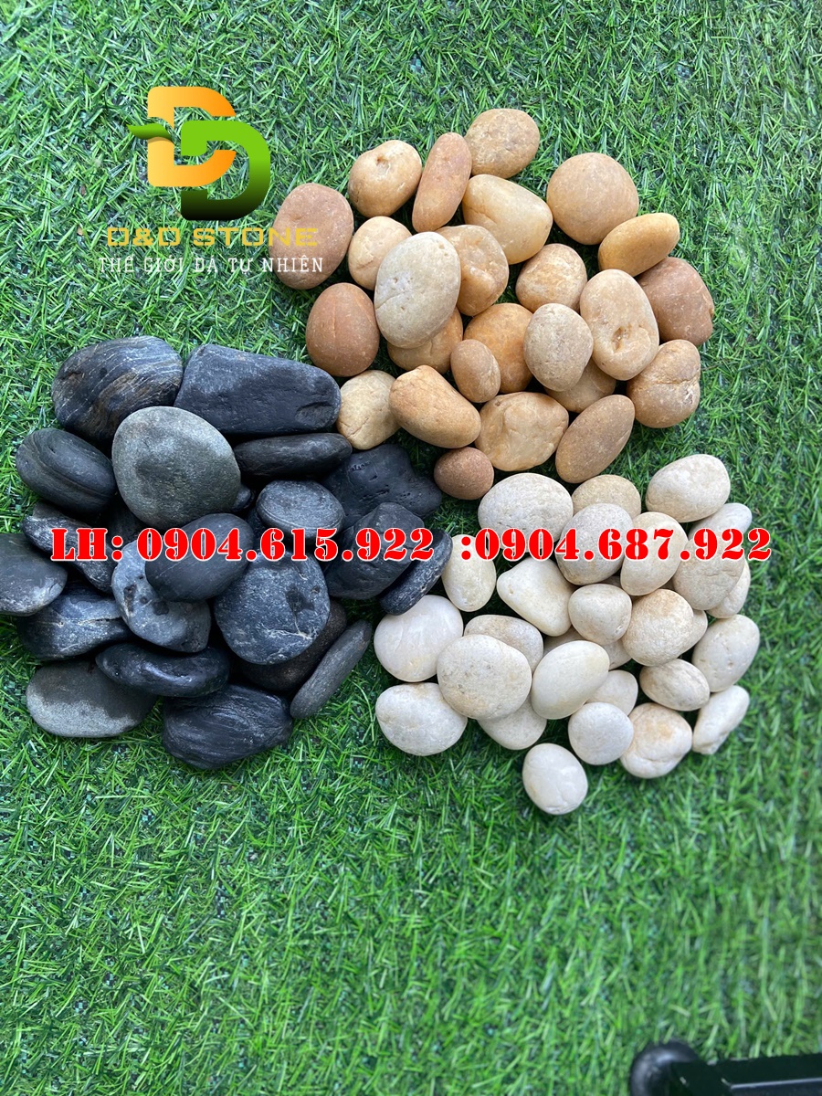 soi-tu-nhien-trang-tri