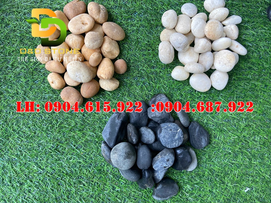 soi-tu-nhien-trang-tri