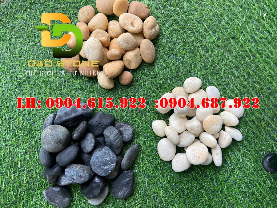 soi-tu-nhien-trang-tri