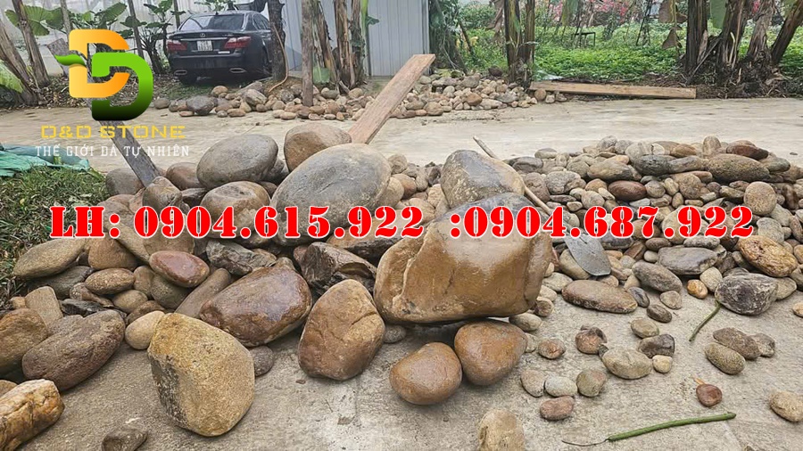 da-cuoi-lam-ho-ca-koi