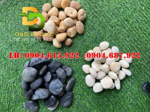 soi-tu-nhien-trang-tri