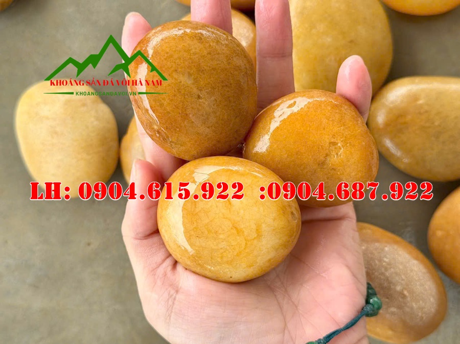 soi-tu-nhien-trang-tri