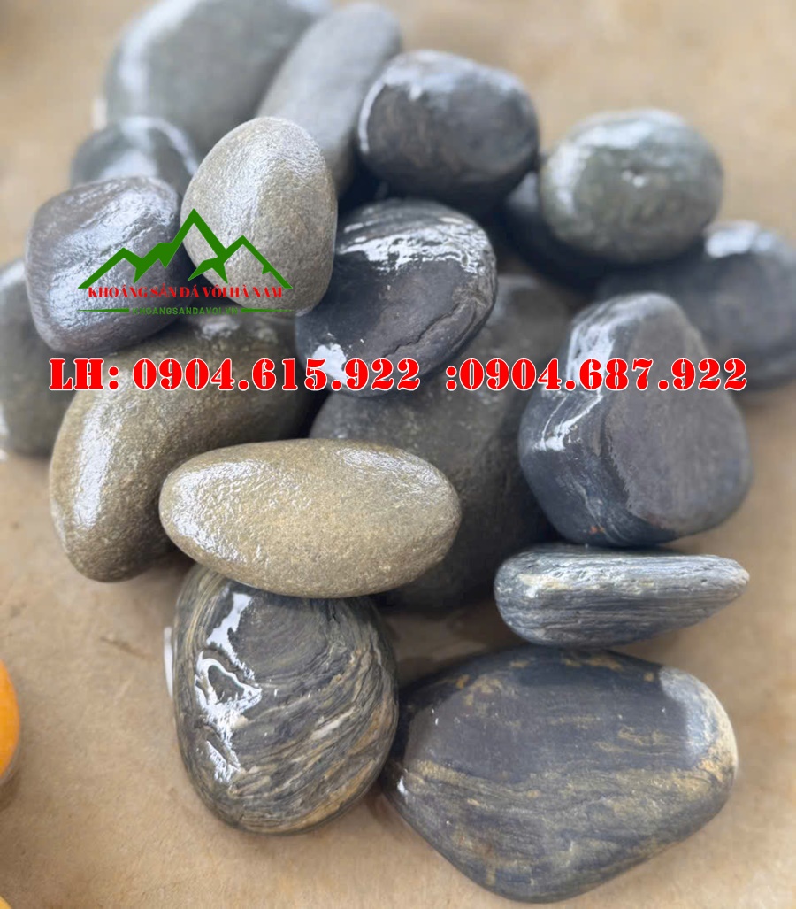 soi-tu-nhien-trang-tri